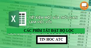 Hoc tin hoc tai thanh hoa Cách sử dụng phím tắt để đặt bộ lọc trong excel như thế nào để nhanh và hiệu quả, mời các bạn tham khảo