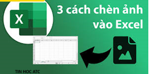 Hoc tin hoc o thanh hoa Làm thế nào để chèn ảnh vào excel cố định vừa ô hoặc chèn hàng loạt ảnh vào excel? Tin học ATC xin thông tin