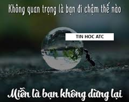 Hoc tin hoc van phong tai Thanh Hoa “Không quan trọng là nhanh hay chậm, quan trọng là bạn vẫn tiến lên mỗi ngày".Đây là câu nói nhấn mạnh