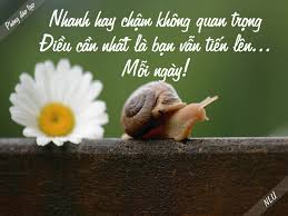 Học tin học ở thanh hóa "Không quan trọng là nhanh hay chậm, quan trọng là bạn vẫn tiến lên mỗi ngày"Câu nói này là lời nhắc nhở sâu sắc