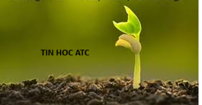Hoc tin hoc thuc hanh o thanh hoa “Mọi công việc đáng sợ đều trở nên không có gì đến khi bạn chinh phục nó.Hãy tin, và bạn sẽ đạt được